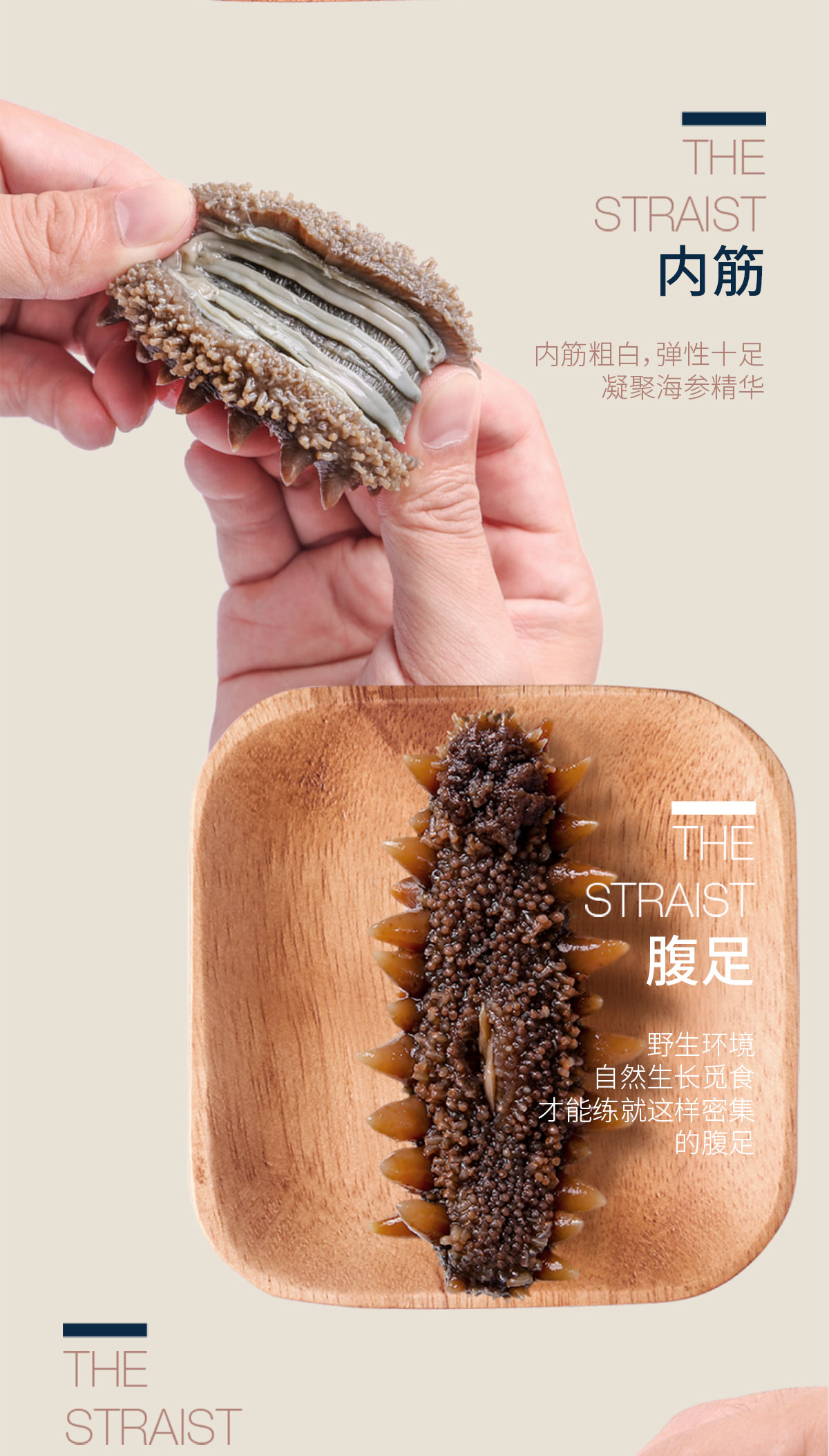 大连沙坨子岛海洋生物科技有限公司
