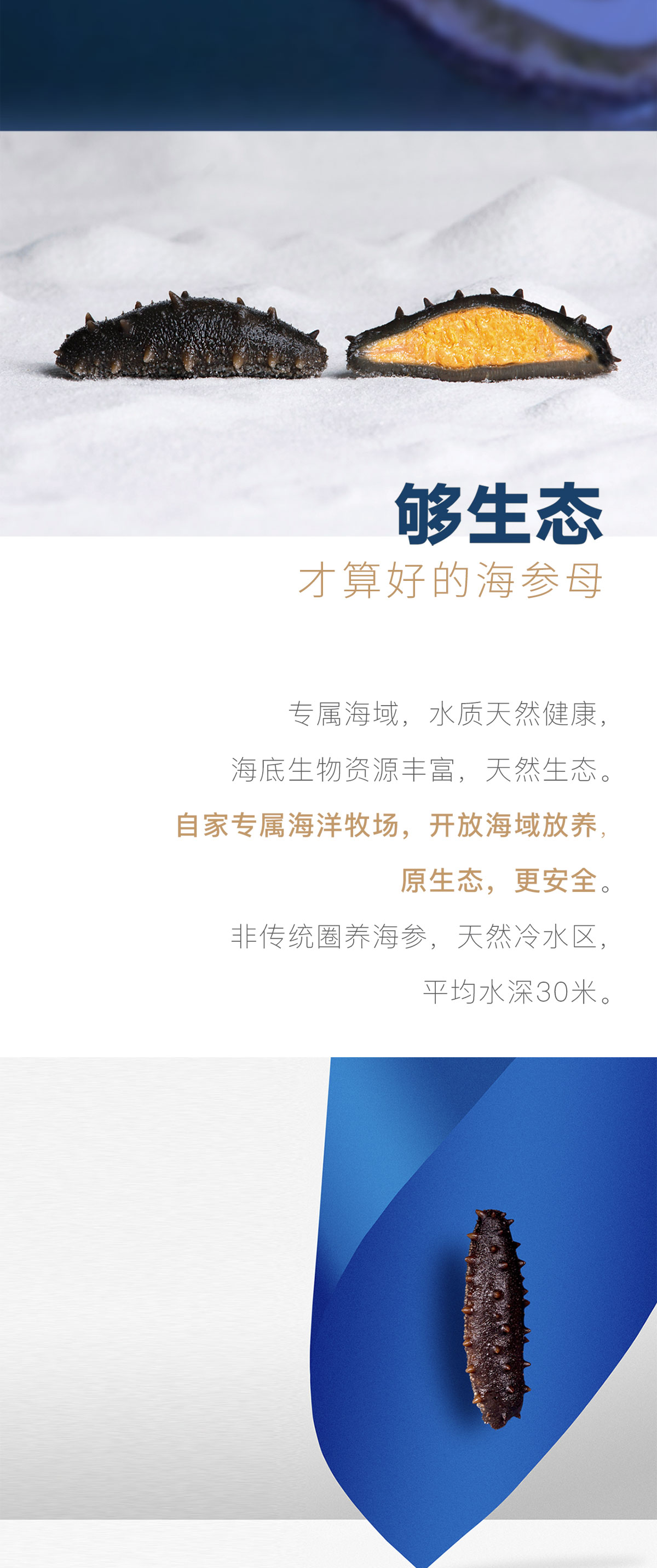大连沙坨子岛海洋生物科技有限公司