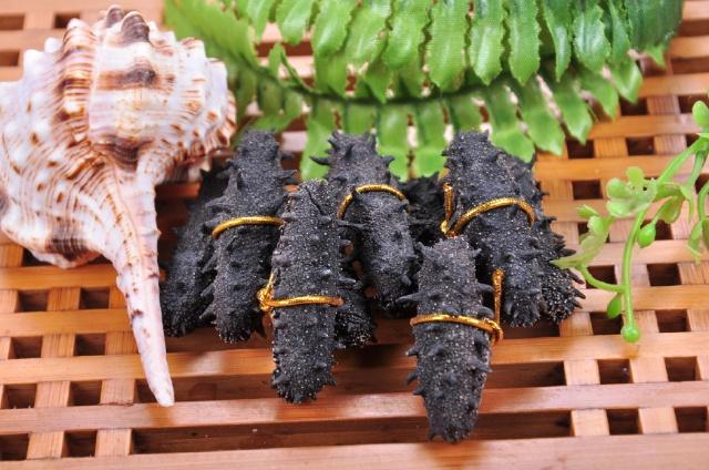 大连沙坨子岛海洋生物科技有限公司