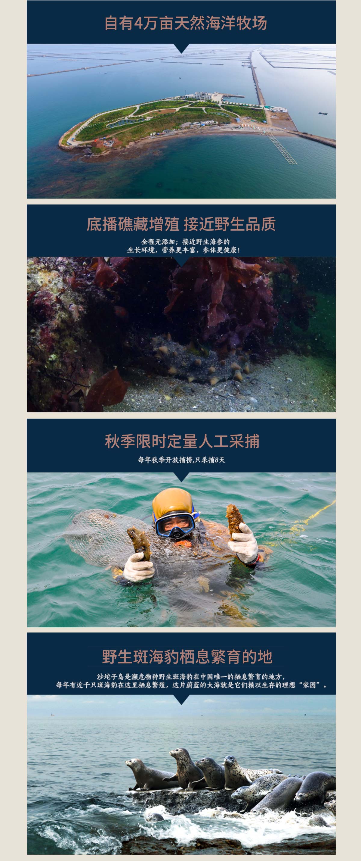 大连沙坨子岛海洋生物科技有限公司