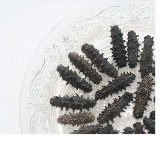 大连沙坨子岛海洋生物科技有限公司
