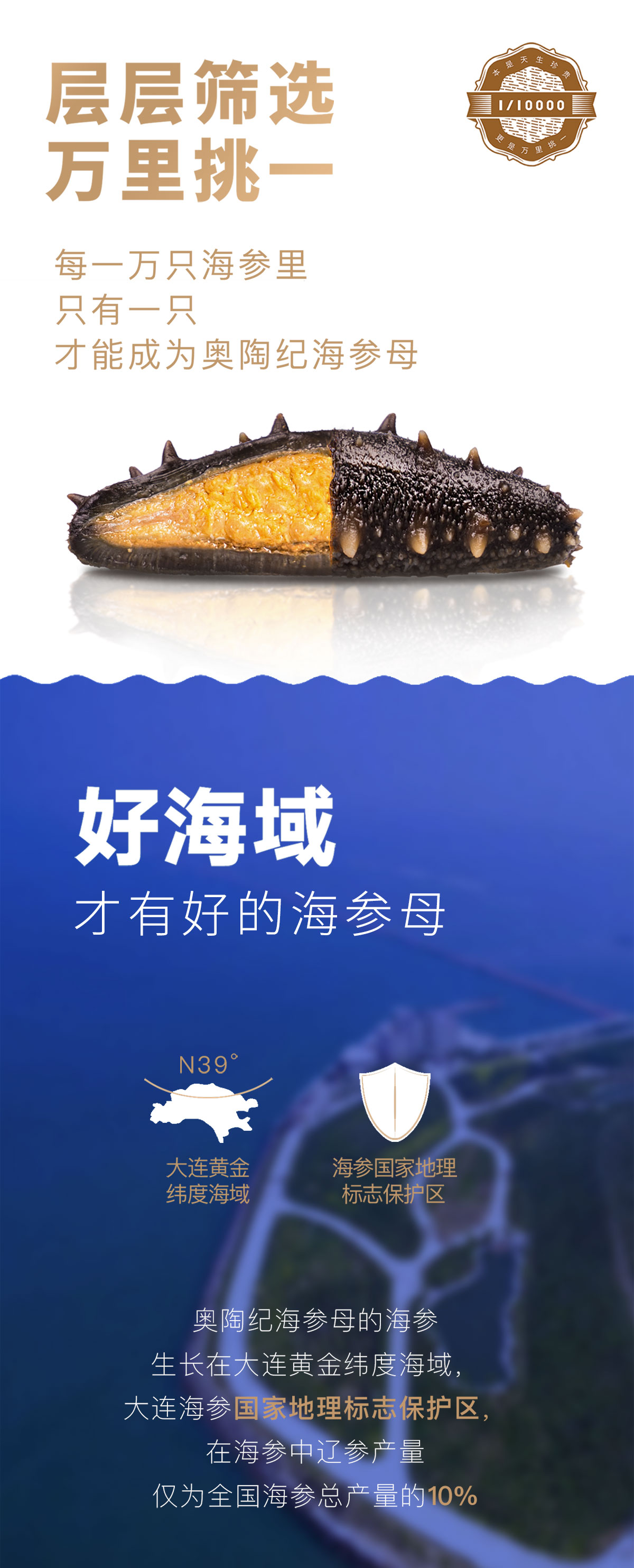 大连沙坨子岛海洋生物科技有限公司